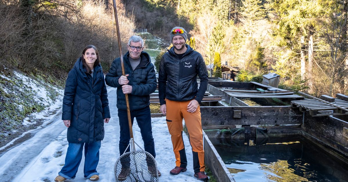 In-zwei-Stunden-aus-dem-Teich-auf-die-Teller