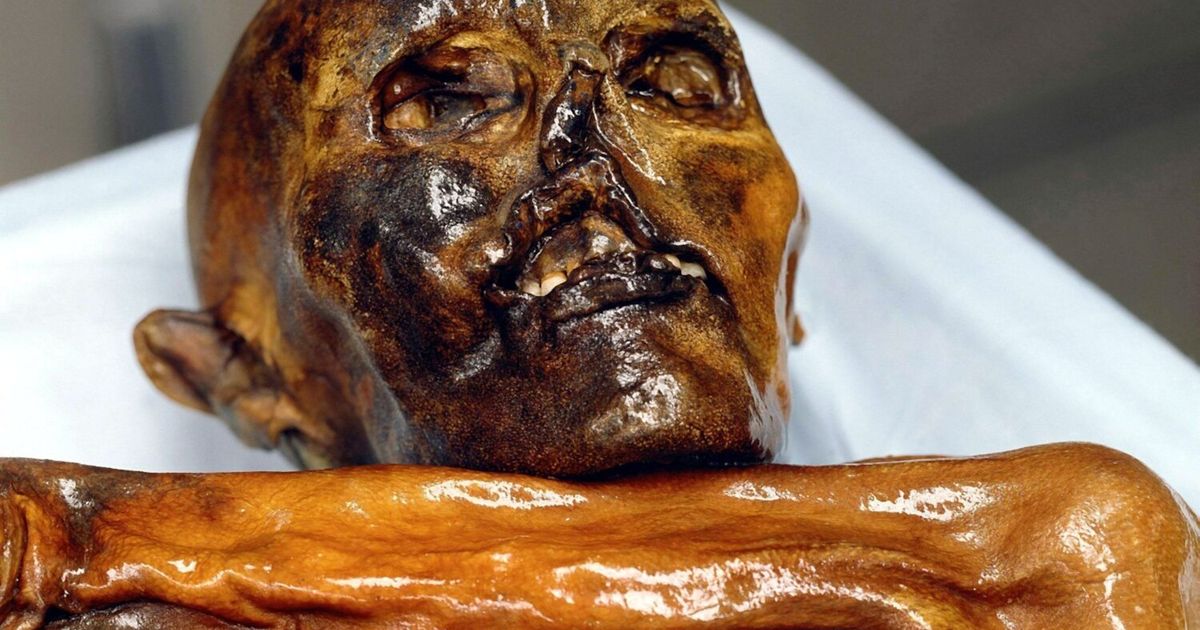 Worldwide sensation: Researchers create digital twin of Ötzi