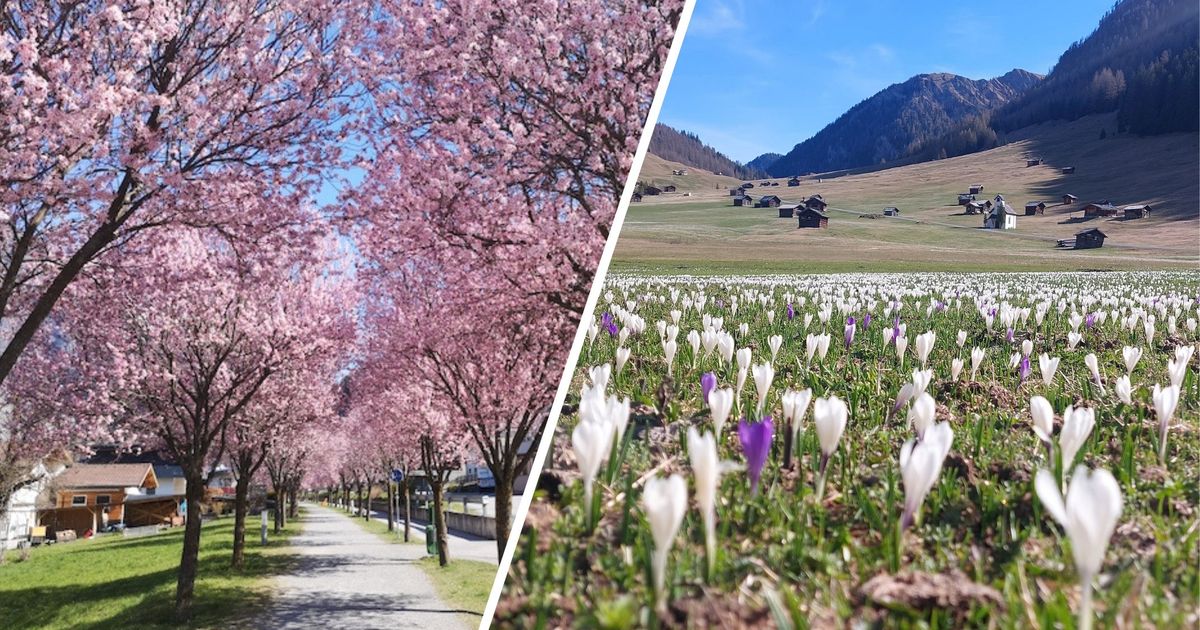 „So schian isch da Frühling in Tirol“: 10 schöne Plätze, die man ...