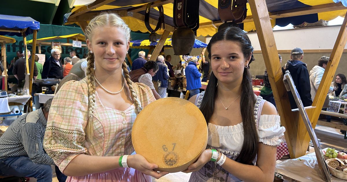 Goldenes-H-ndchen-f-r-K-se-Almk-seolympiade-knackte-neuen-Rekord