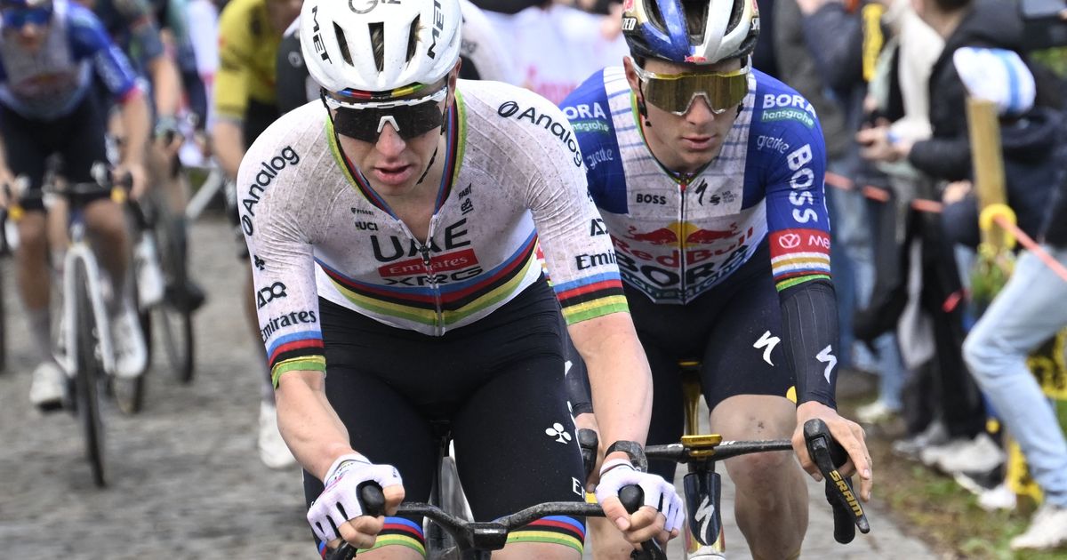 Pogacar-und-Evenepoel-droht-nach-Flandern-Rundfahrt-F-hrerschein-Entzug