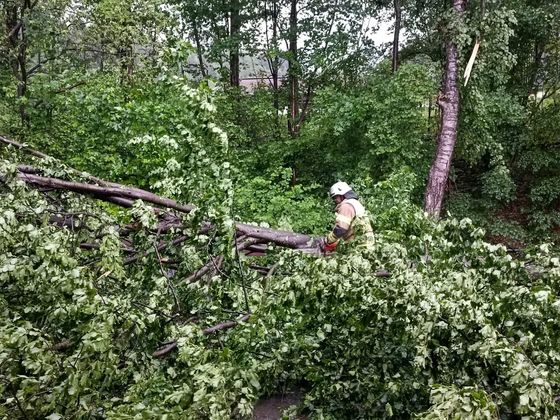 Einsatzkräfte beseitigen einen umgestürzten Baum in Kirchbichl.
