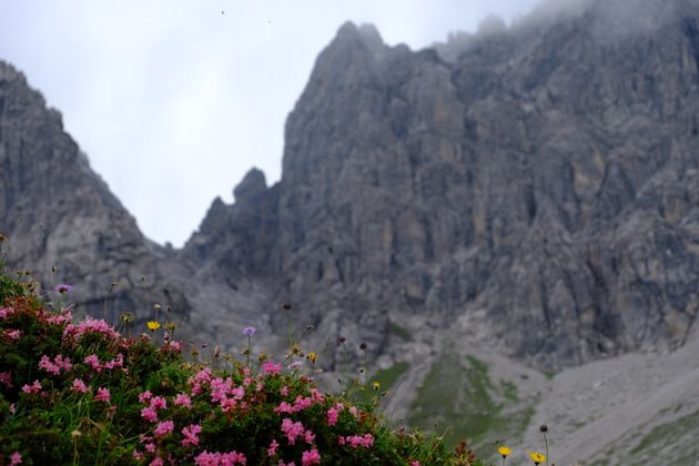 Wanderung zur Steinseehütte in den Lechtaler Alpen.