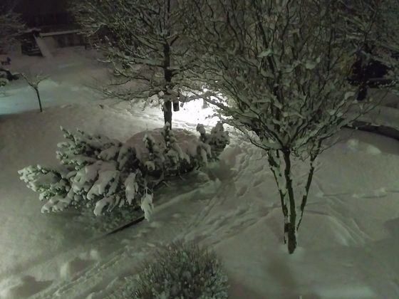 Ein Foto aus Neu-Rum.