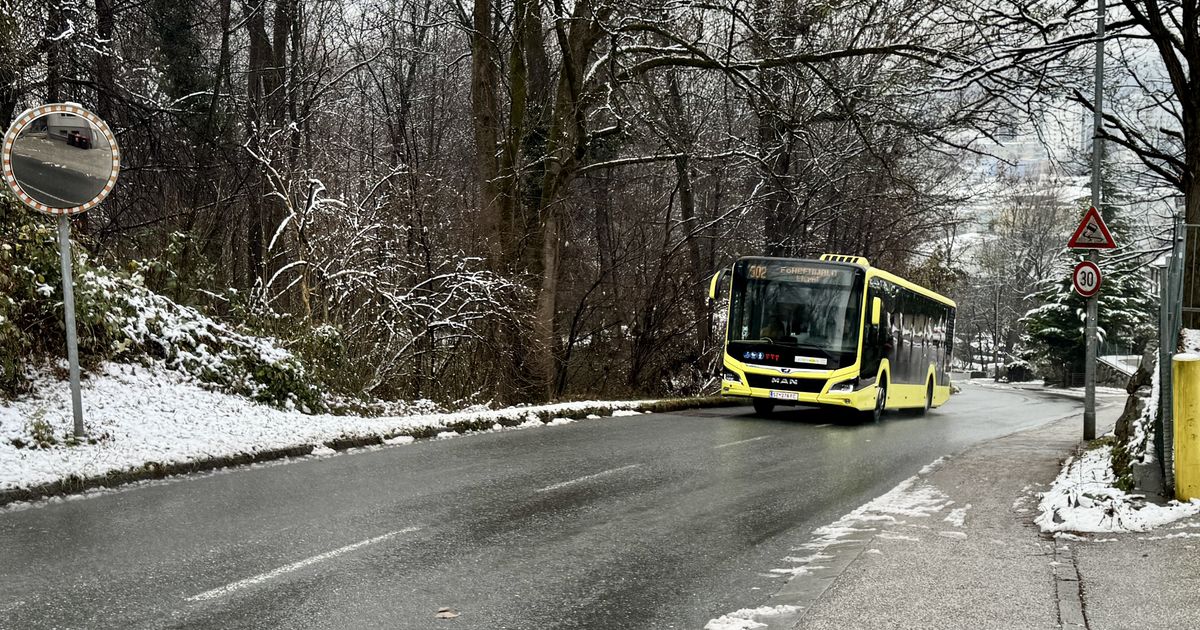 Probleme-im-Steilen-besonders-wenn-es-kalt-ist-Software-Panne-bei-E-Bussen-in-Tirol