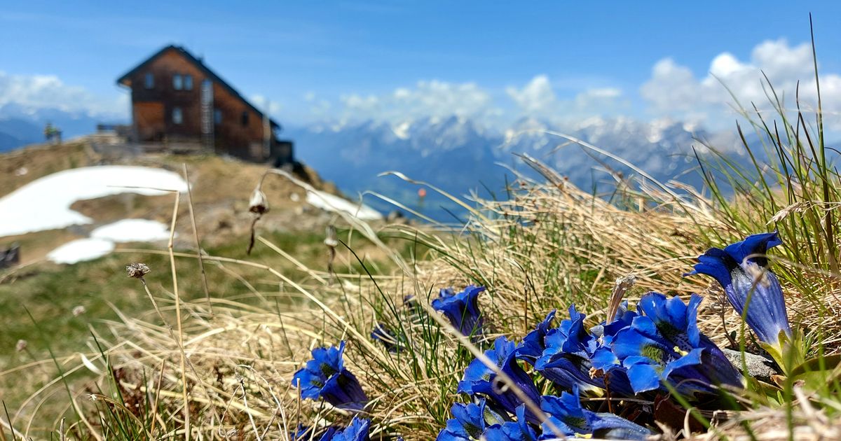 -So-schian-isch-da-Fr-hling-in-Tirol-10-sch-ne-Pl-tze-die-man-unbedingt-besuchen-sollte