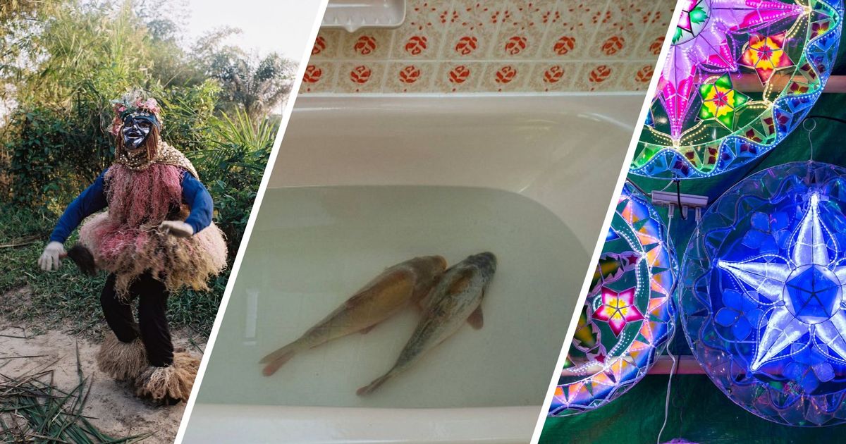 Andere-L-nder-andere-Sitten-Schr-ge-Weihnachtsbr-uche-aus-aller-Welt