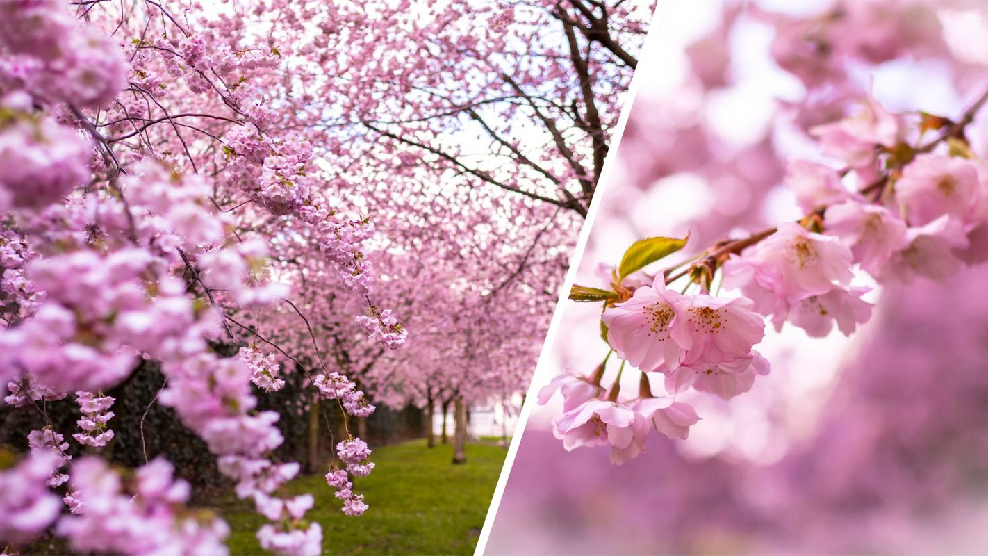 Wo genießt ihr das wunderbare Frühlingswetter? Schickt uns eure schönsten Bilder