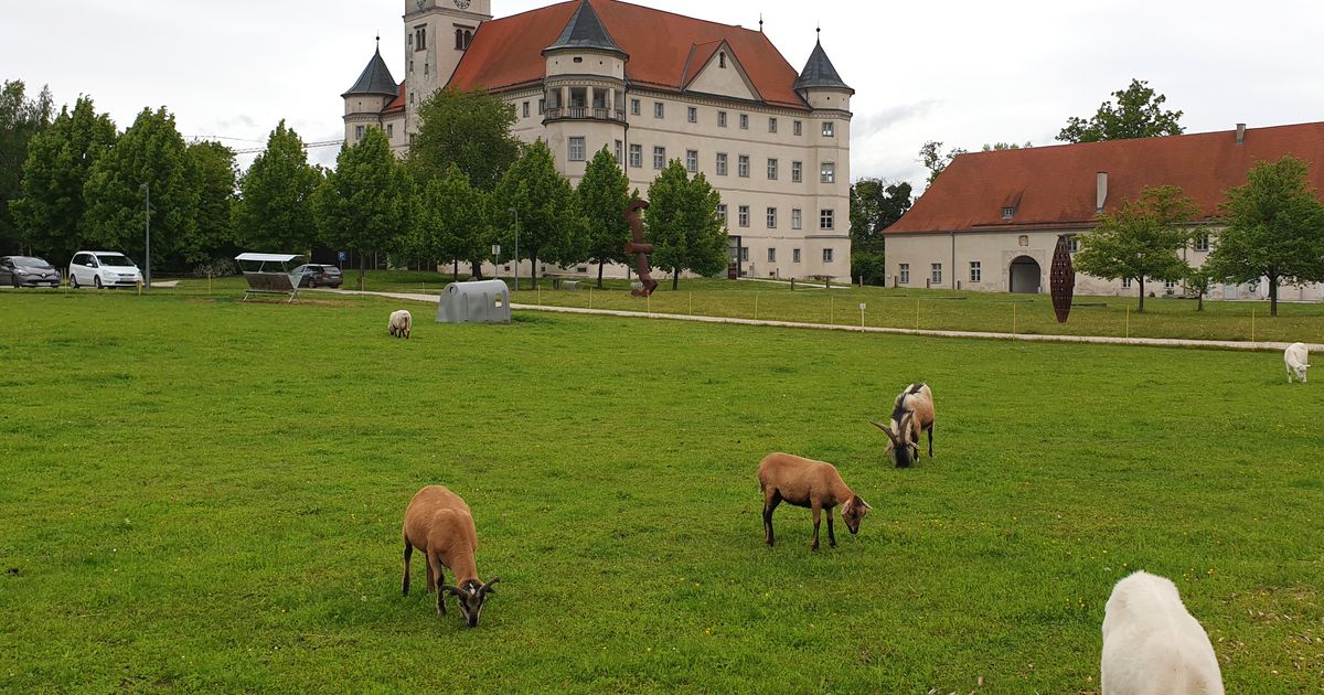 Neue-Gedenktafel-in-Schloss-Hartheim-erinnert-an-Haller-Opfer-des-NS-Krankenmordes