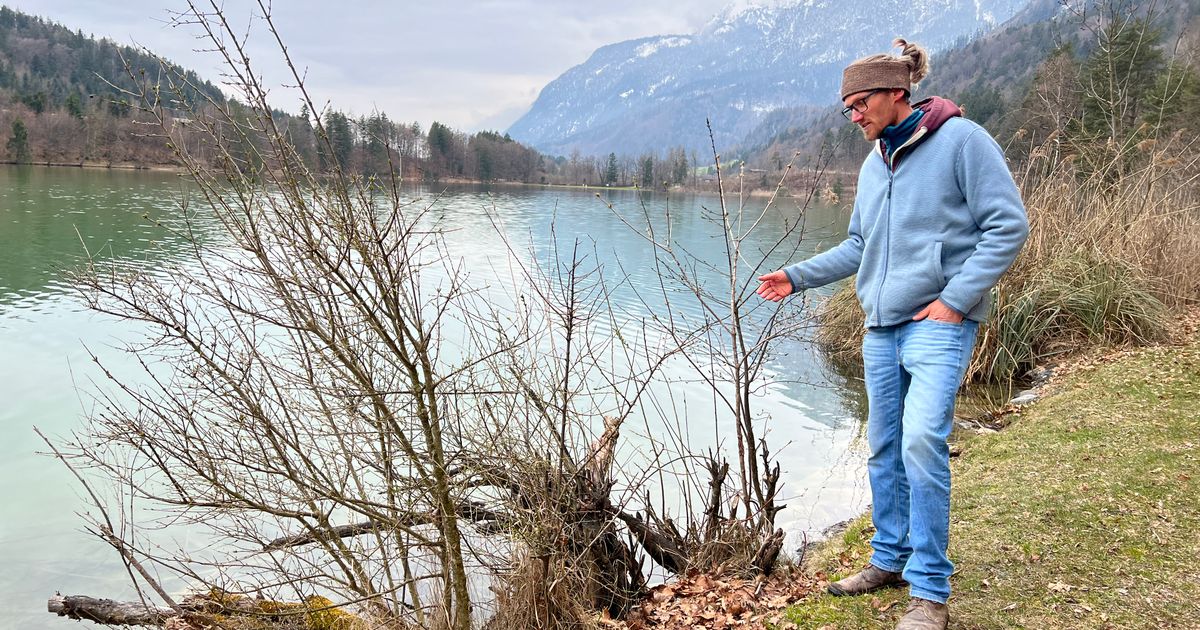 Wo-man-mit-dem-Biber-lebt-Lokalaugenschein-am-Reintalersee