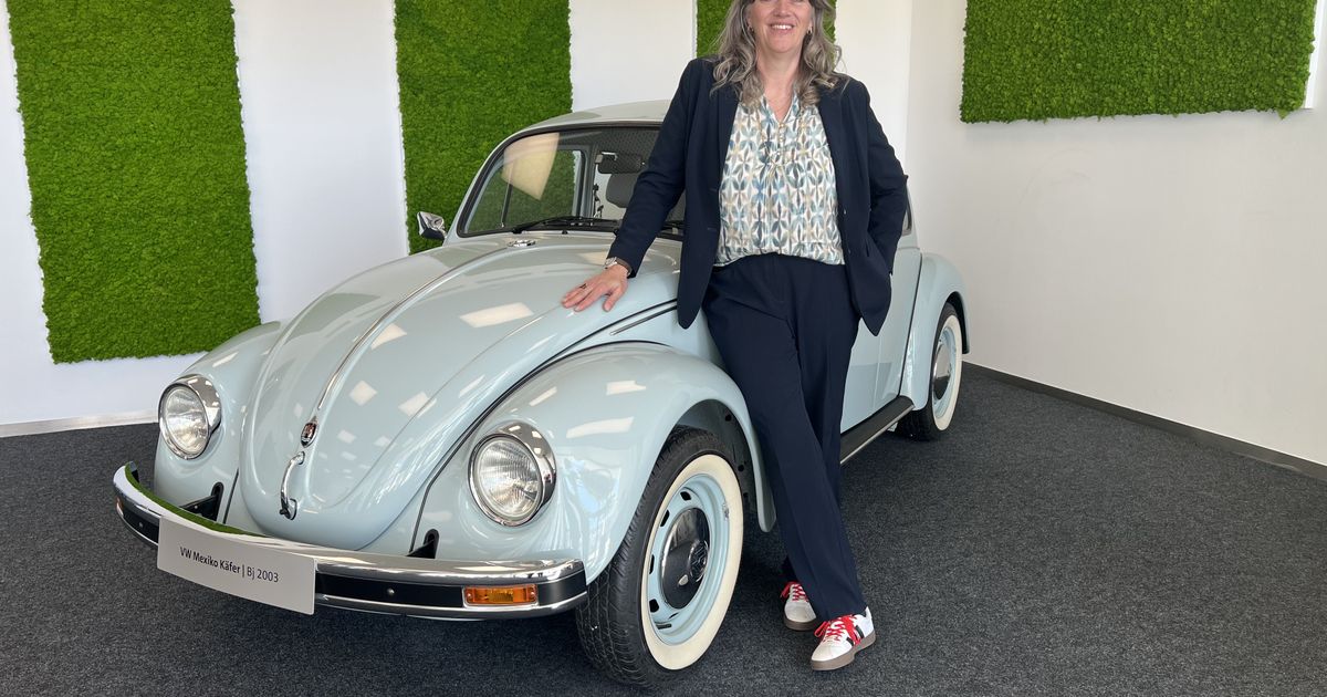 -Octavia-vor-Golf-Das-ist-freundschaftliche-Rivalit-t-