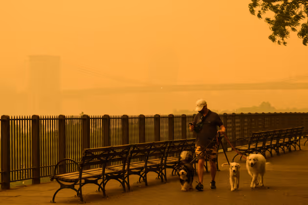 A person walks dogs as smoke from wildfires in Canada cause hazy conditions in New York City on June 7, 2023. An orange-tinged smog caused by Canada's wildfires shrouded New York on Wednesday, obscuring its famous skyscrapers and causing residents to don face masks, as cities along the US East Coast issued air quality alerts. (Photo by ANGELA WEISS / AFP)
