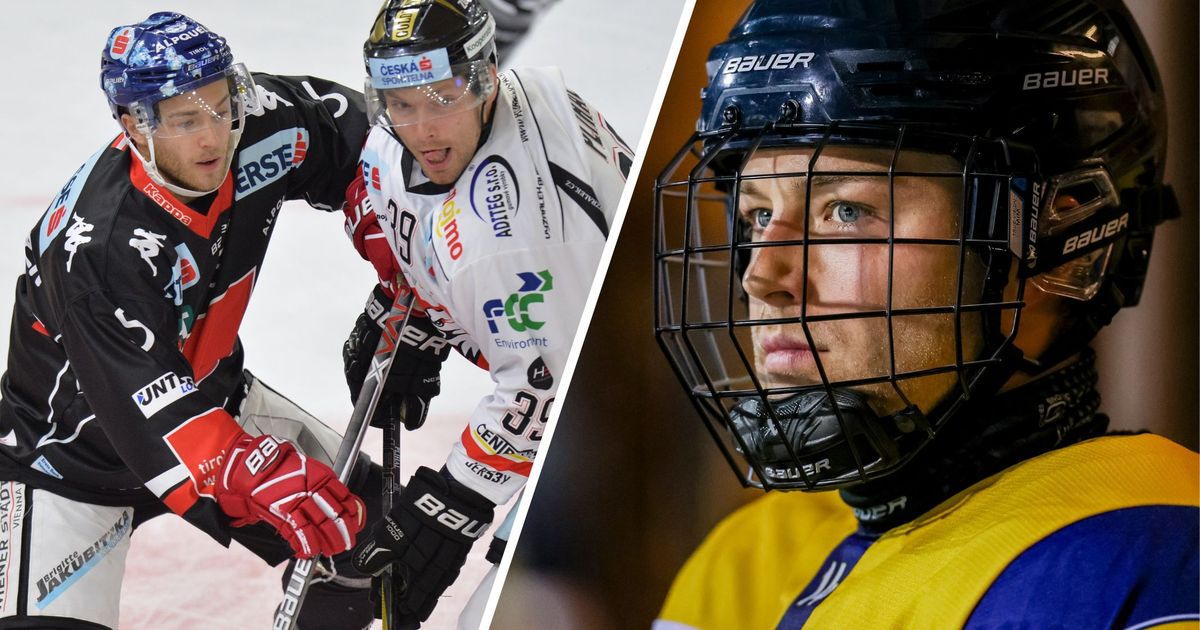 Nach-Herzproblemen-zur-ck-Ex-Haie-Profi-Teschauer-und-sein-emotionales-Comeback