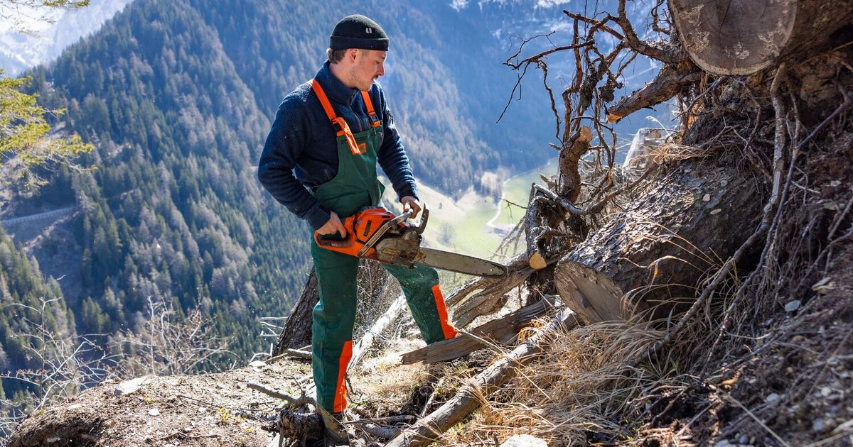 Vom-B-ro-in-den-Steilhang-Freiwillige-k-mpfen-mit-Hacke-und-Herzblut-gegen-die-Naturgewalten