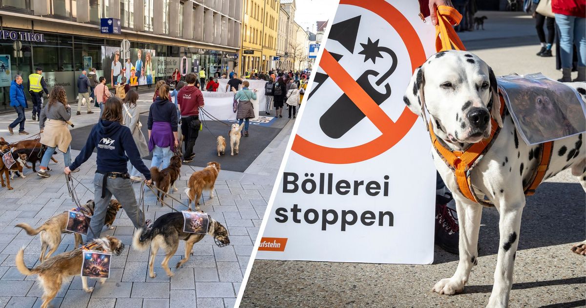 -Bellen-statt-B-llern-Hunde-Demo-in-Innsbruck-sorgte-f-r-Aufsehen