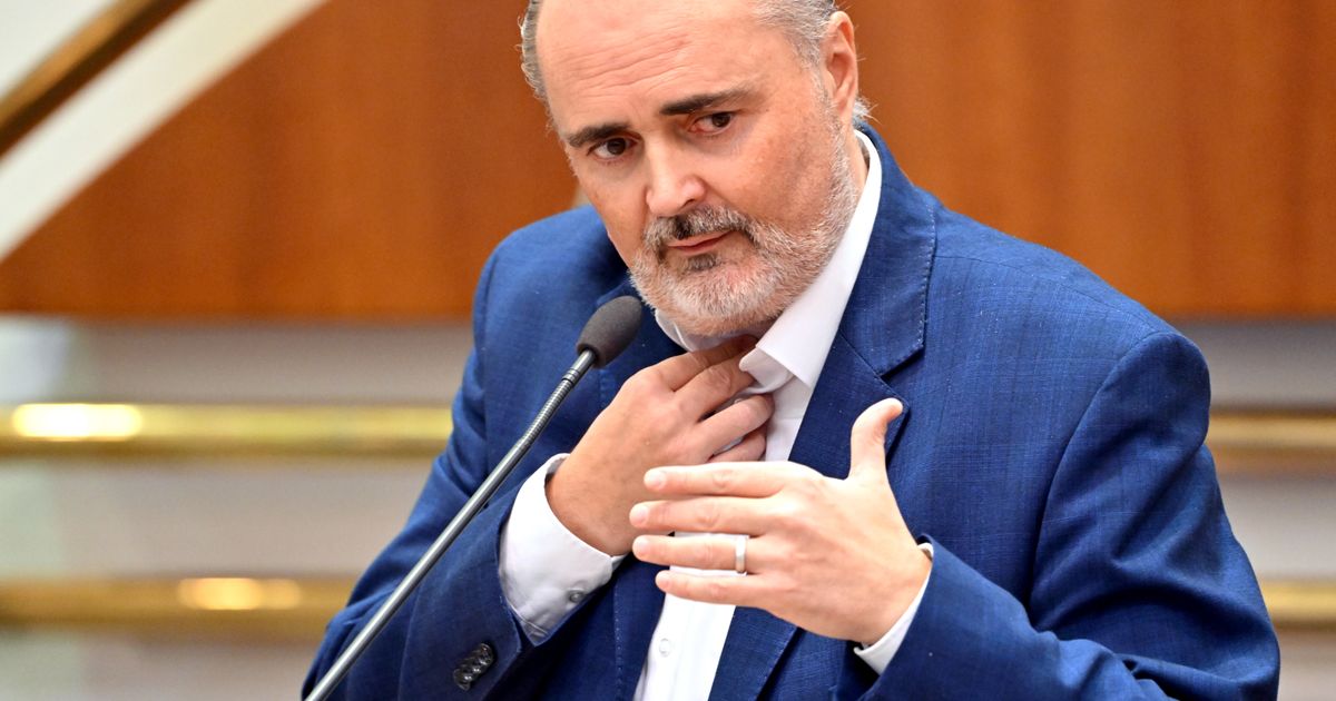 Nach-Kehlkopf-Operation-Doskozil-gibt-der-SP-schon-wieder-Kontra