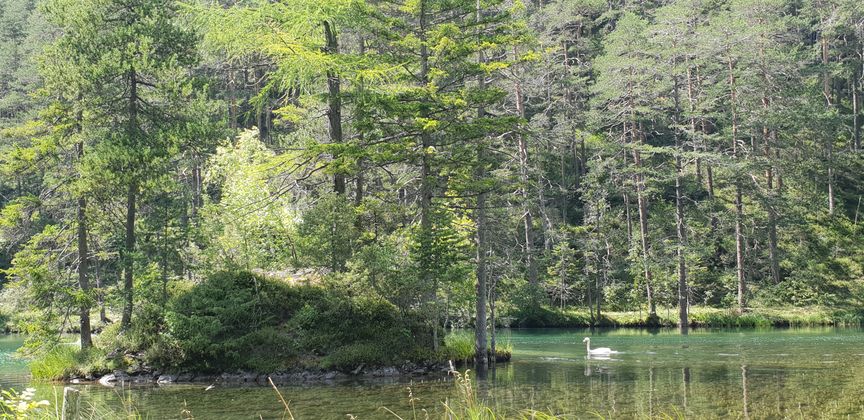 Fernsteinsee in Nassereith.