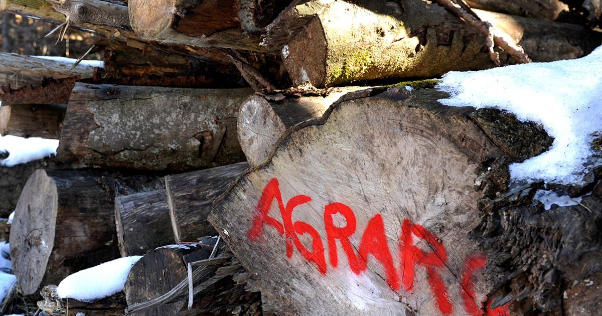 -Das-war-19-0-gegen-den-Rechtsstaat-Landeck-stoppt-Verfahren-und-erntet-scharfe-Kritik