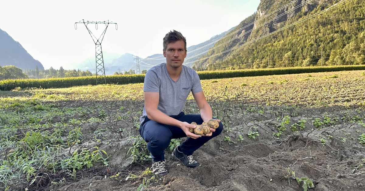 East Tyrolean farmers resist underground cables: 