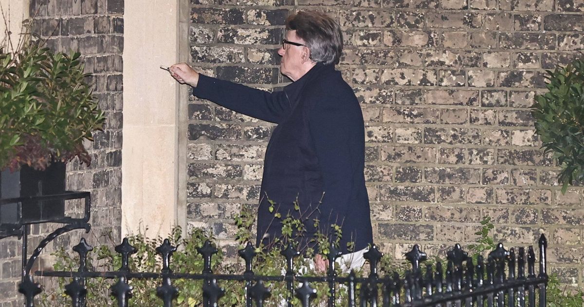 -Fehlverhalten-in-ffentlichem-Amt-Britischer-Ex-Minister-Mandelson-unter-Auflagen-frei