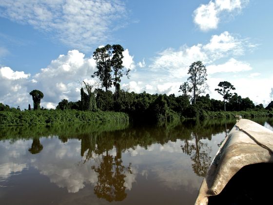 Der Weg zur Arbeit. Über seine Erfahrungen und Erlebnisse bloggt Lötsch regelmäßig auf http://uneanneeaugabon.tumblr.com/