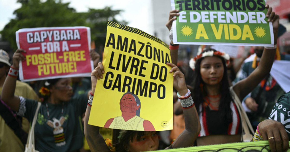 der-kampf-der-indigenen-brasiliens-endet-nicht-mit-der-cop30