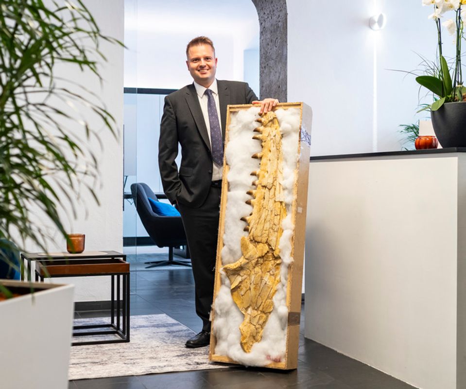 Dino strandete in Tirol: Millionen Jahre alte Kieferknochen in Innsbrucker Kanzlei