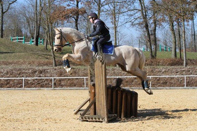 Zara Von der Thannen beim Training für das OEPS-Talente-Team mit ihrem Siegerpferd Jolan Kis Barat.