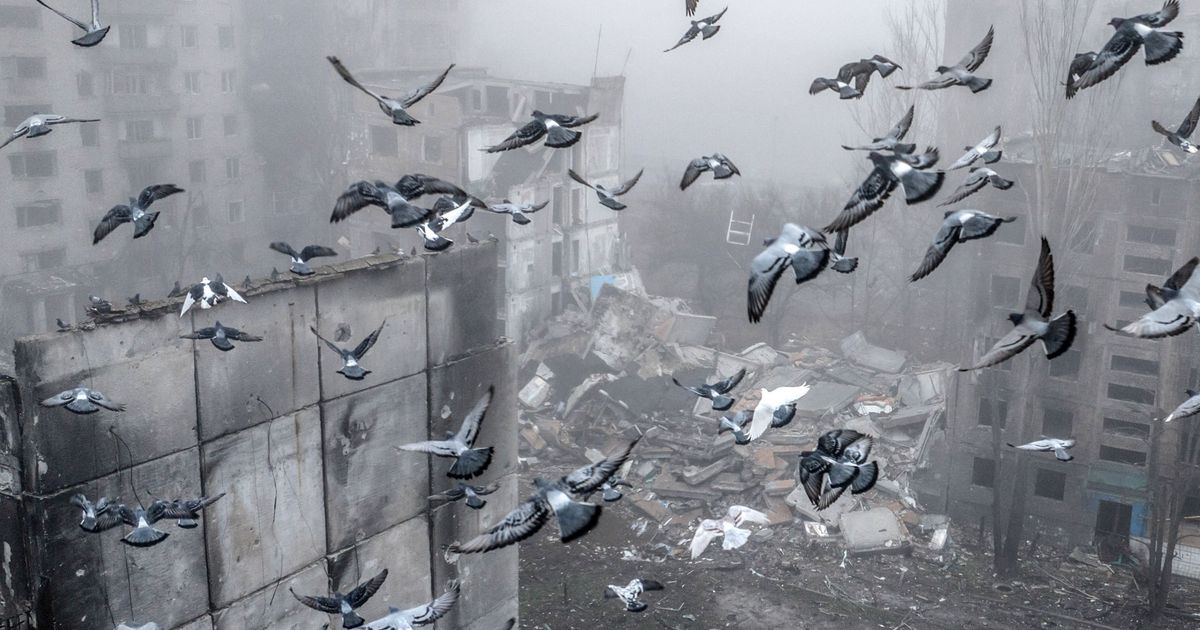 schicksalstage-f-r-die-ukraine-die-hoffnnung-auf-frieden-lebt