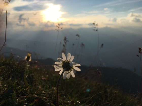 Sonnenuntergang am Roppener Gipfelkreuz.