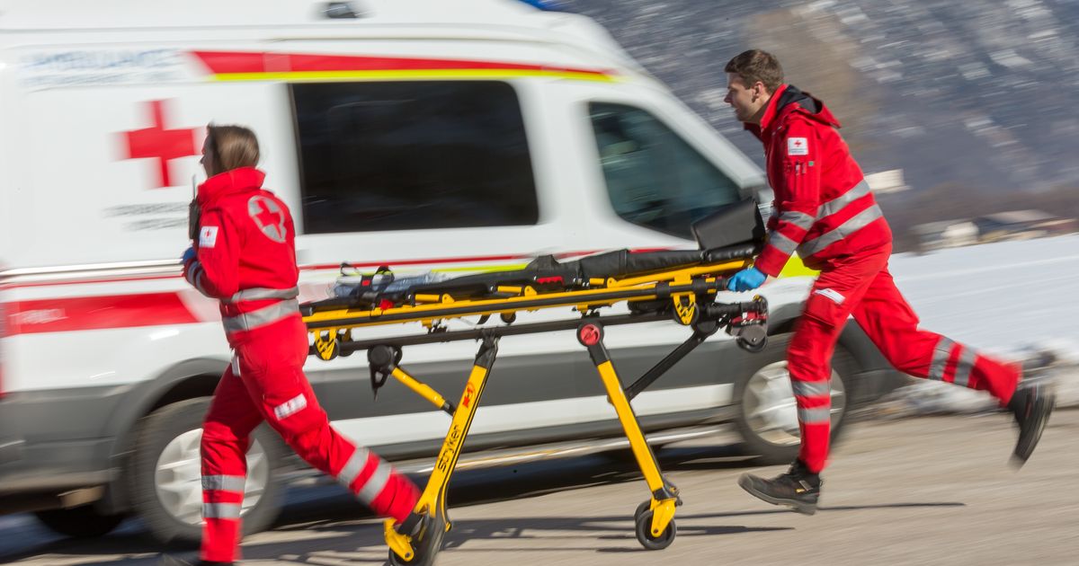 23-year-old car driver in East Tyrol hit by tree, trapped and injured | ...