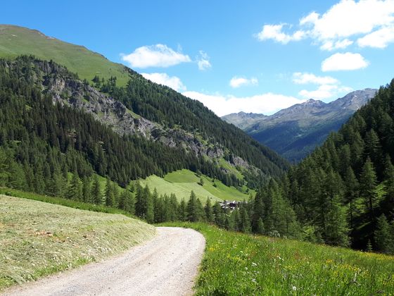 Alfenalm im Villgratental.