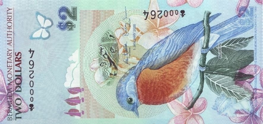 2009: Suchbild zum Verweilen
Ein Rotkehl-Hüttensänger (Bluebird) hat es auf den 2-Dollar-Schein der Bermuda-Inseln geschafft, ebenso der Kopf von Queen Elizabeth II. und noch vieles mehr. Die IBNS fand auf dem Schein attraktive historische und Naturdenkmale sowie eine attraktive Farbkombination.