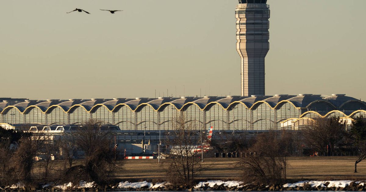 Unprofessioneller-Funkverkehr-Zwei-Piloten-miauen-und-bellen