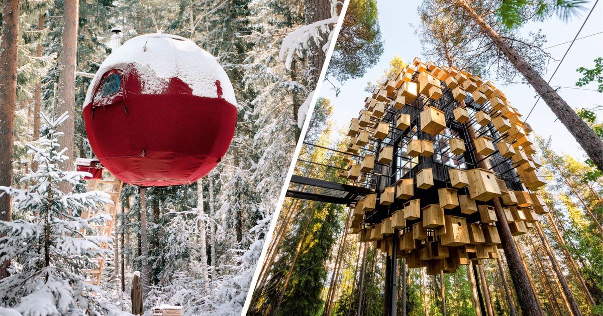 Wipfeltr-ume-f-r-Design-Fans-Wo-es-coole-Baumh-user-auch-als-Hotel-gibt