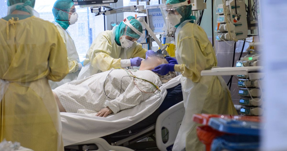 -rztekammerchef-gegen-private-Med-Uni-Schon-jetzt-fehlen-Stellen-f-r-unsere-Jung-rzte-