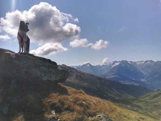 Auf dem Weg zur Pallspitz mit Blickrichtung nach Süden.