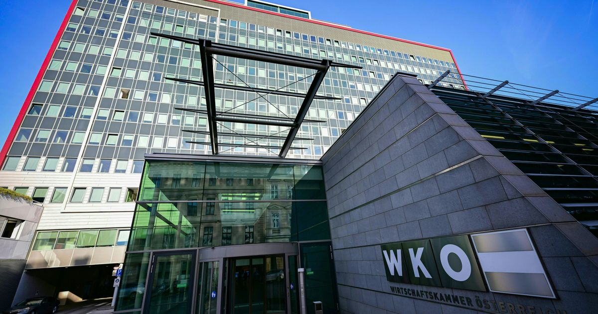 Wirtschaftskammer-will-100-Millionen-Euro-an-Unternehmen-r-ckerstatten