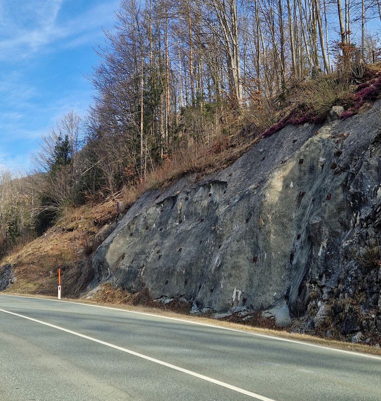 Eibergstraße: Sperre zwischen Schwoich und Söll wegen Baumfällungen nötig
