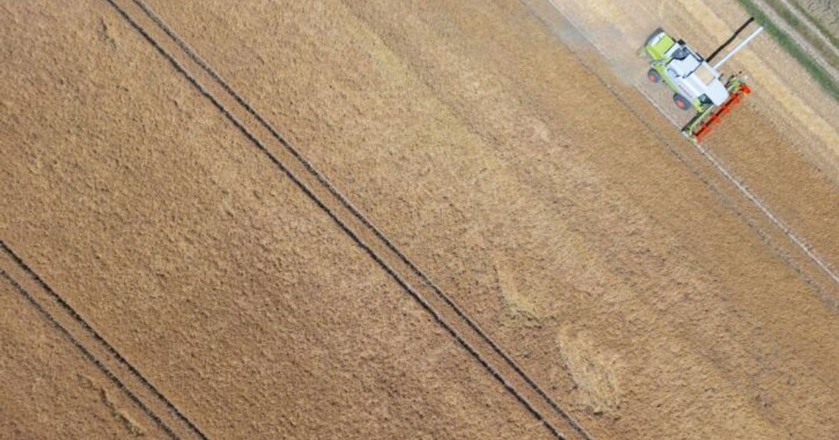 -sterreich-hat-den-Overshoot-Day-erreicht