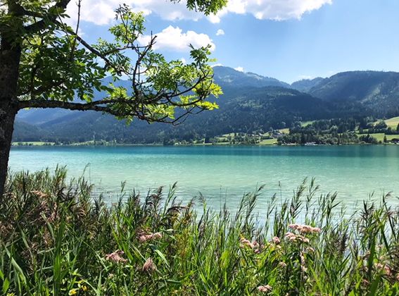 Weißensee