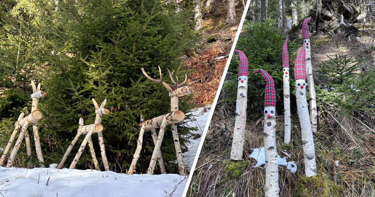 Ist-das-Tirols-entlegenste-Post-Warum-im-Hochgallmigger-Wald-ein-Briefkasten-steht