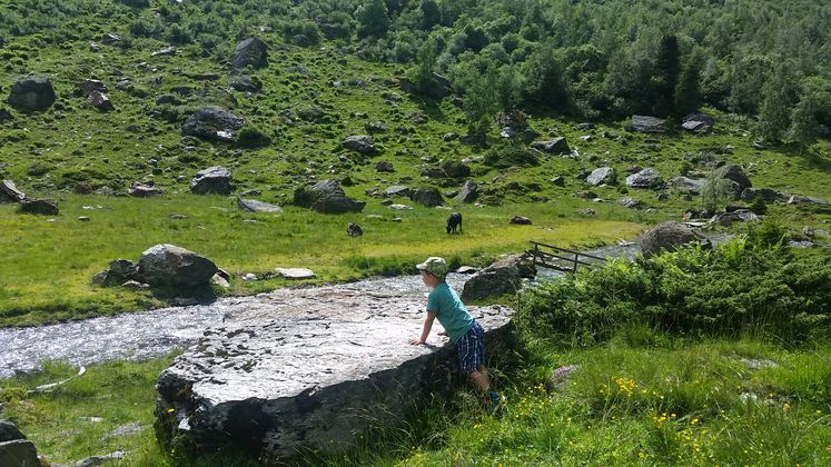 "Schwarzbrunn" im Voldertal.