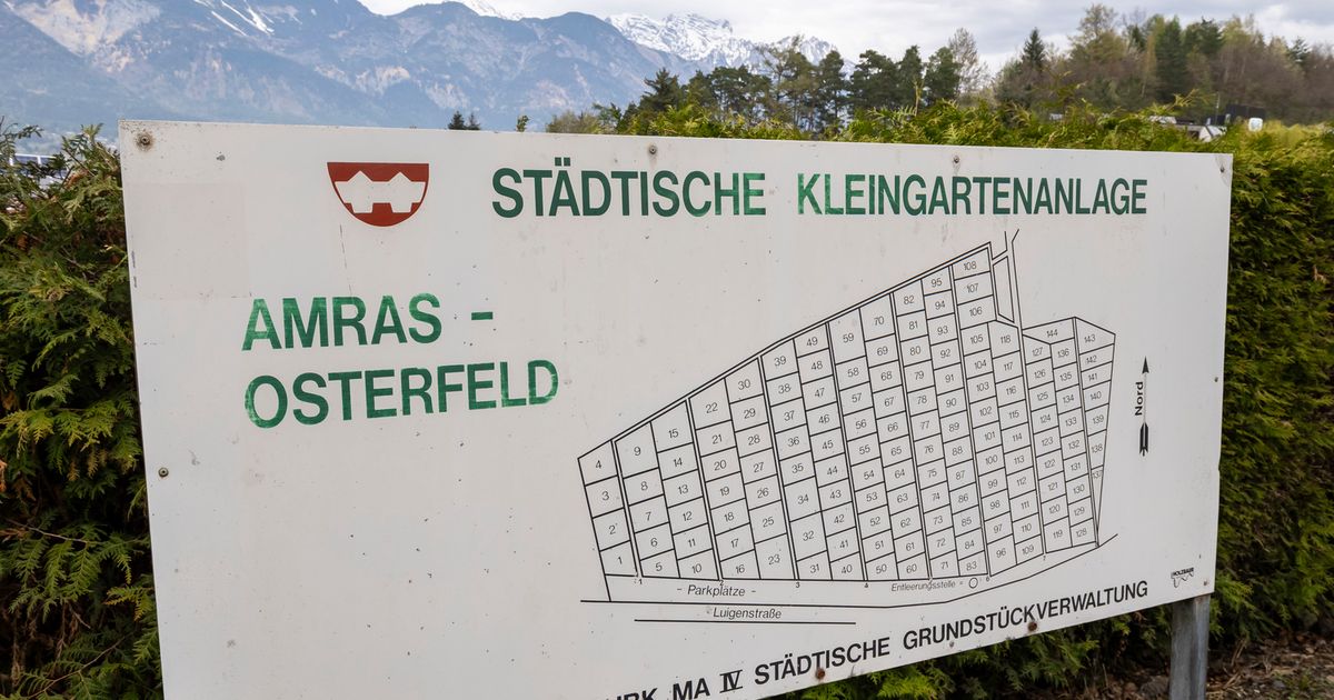 M-ll-hinterm-Idyll-Verschmutzung-im-Wald-neben-Schreberg-rten-sorgt-f-r-rger