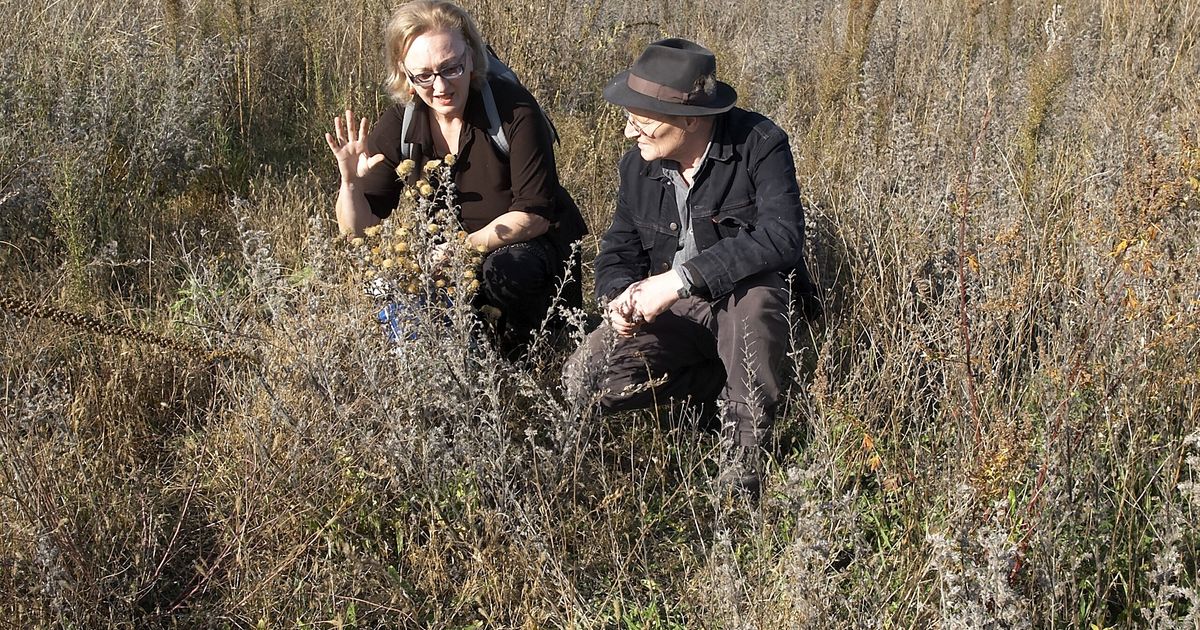 Ann-herung-an-einen-Vision-r-K-nstlerwitwe-spricht-ber-neuen-Lois-Weinberger-Film