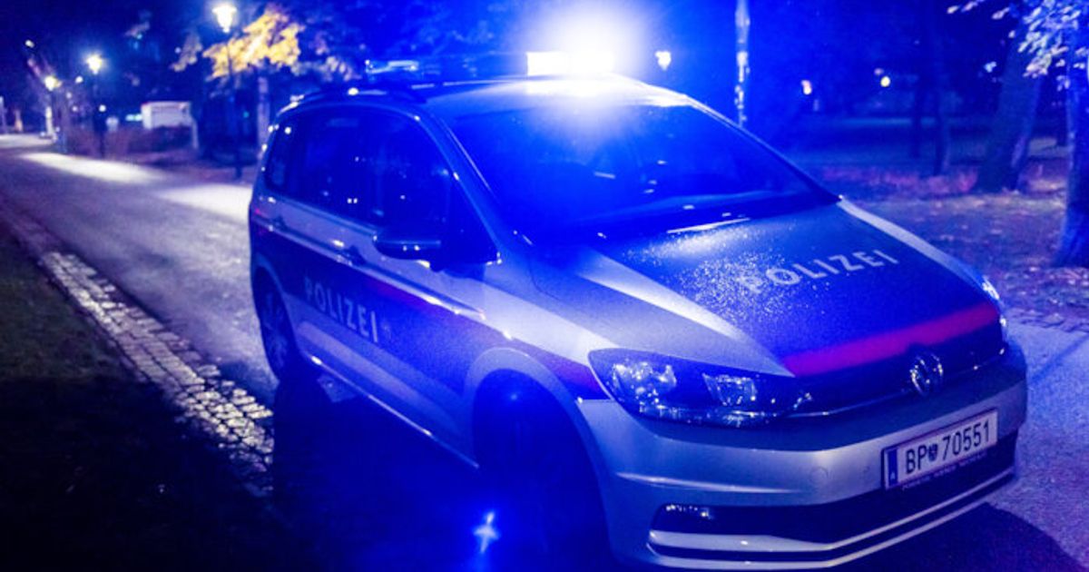 Unbekannter-schlug-in-Innsbruck-mit-Brett-auf-Mann-ein