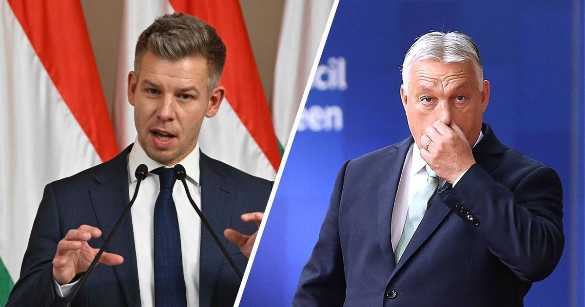 Machtwechsel-in-Ungarn-Dieser-Mann-fordert-Premier-Orb-n-heraus