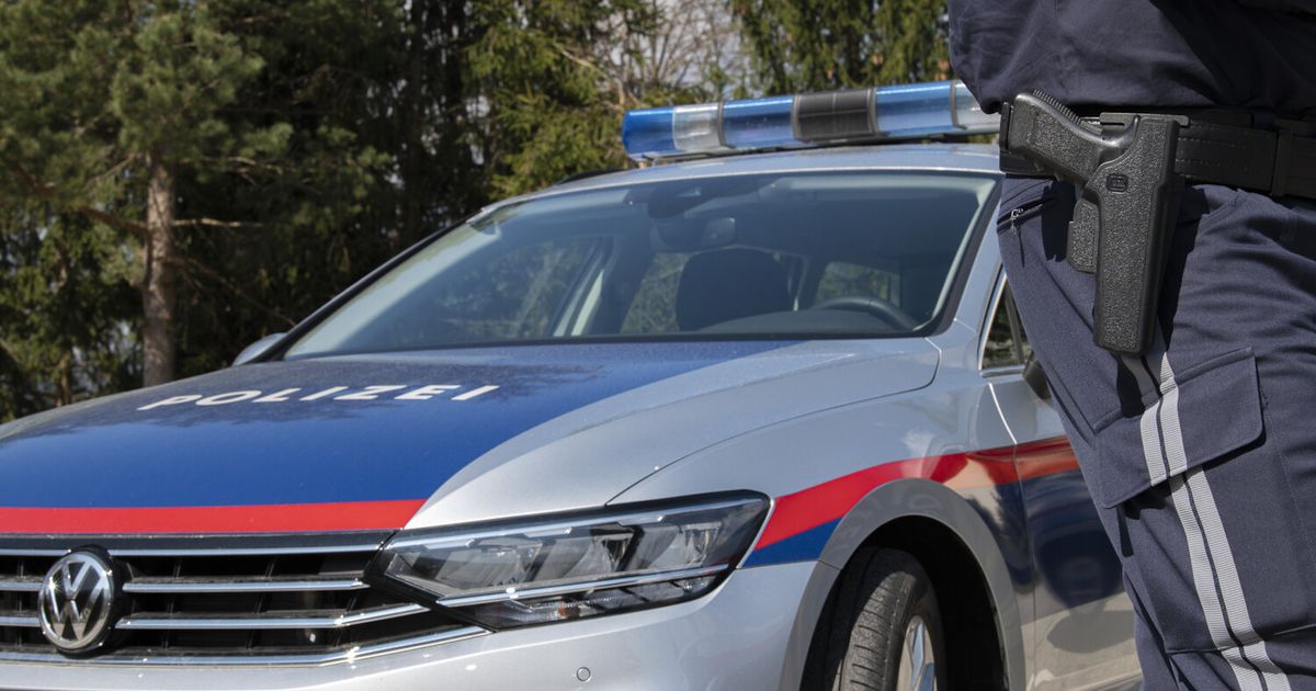 Three houses in one hour: Teenager scares off serial burglars in the ...