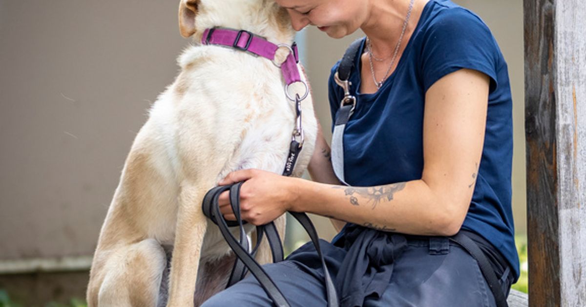 Das-sind-die-Langzeit-Insassen-im-Tierheim-Innsbruck