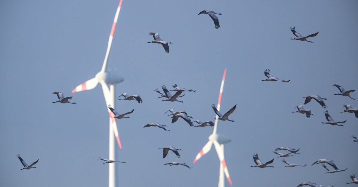 Windparks-geht-die-Luft-aus-nur-drei-sind-in-Tirol-m-glich